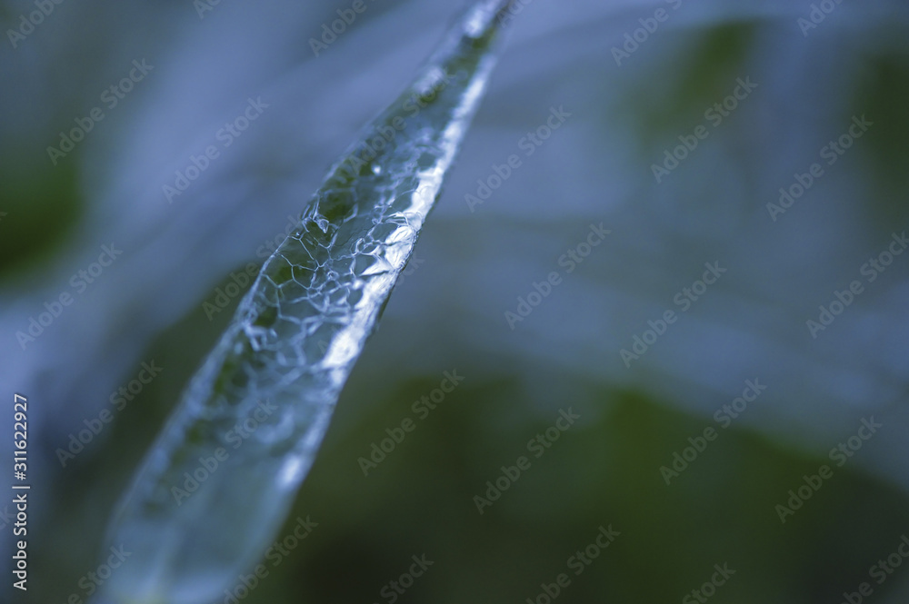 Eisregen mit Eisüberzug, gefrierender Regen, Österreich, NIede Eisregen mit Eisüberzug, gefrierender Regen, Österreich, NIede