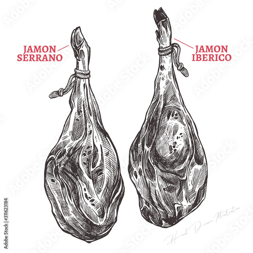 Spanish jamon iberico and serrano, hand drawn sketch illustration. Meat product or farm pork engraving vector