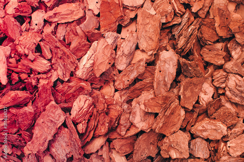 Macro photo of pine bark. Mulch for garden design. Image of red brown wood chip bark texture background. Toning in warm colors. Place for text and layout for design.