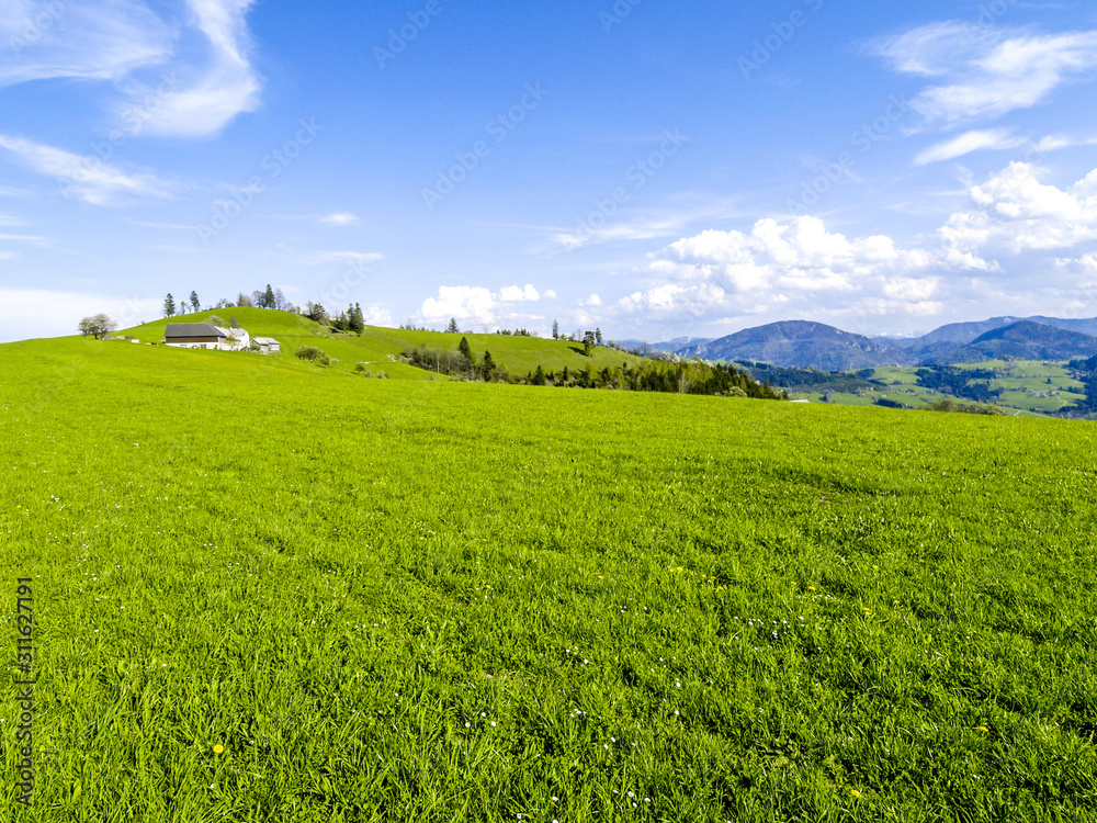 Naklejka premium Wiese, Österreich, NIederösterreich, Mostviertel