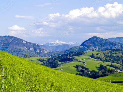 Blick auf das Hügelland, Berge im Hintergrund, Österreich, NIe