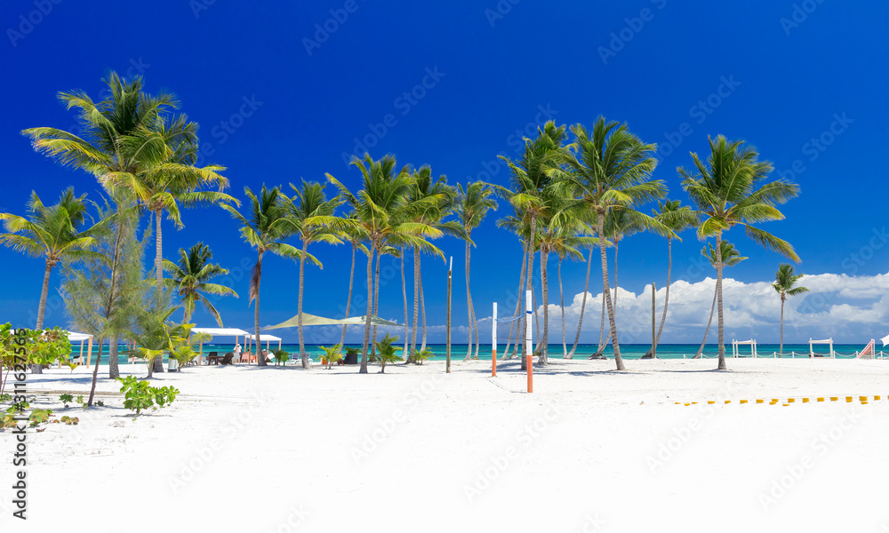 Fototapeta premium Natural scenery beach palm tree photography pictures