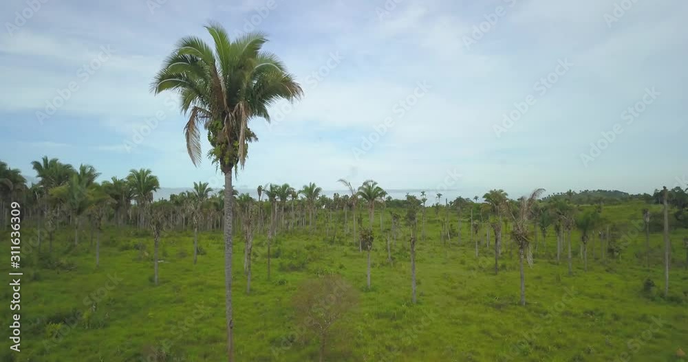 Aerial view of rural region of Tocantins state in the Amazon biome. Deforestation is done to create farms for livestock and livestock production. Araguaína, Tocantins, Brazil. Aerial view of rural region of Tocantins state in the Amazon biome. Deforestation is done to create farms for livestock and livestock production. Araguaína, Tocantins, Brazil.