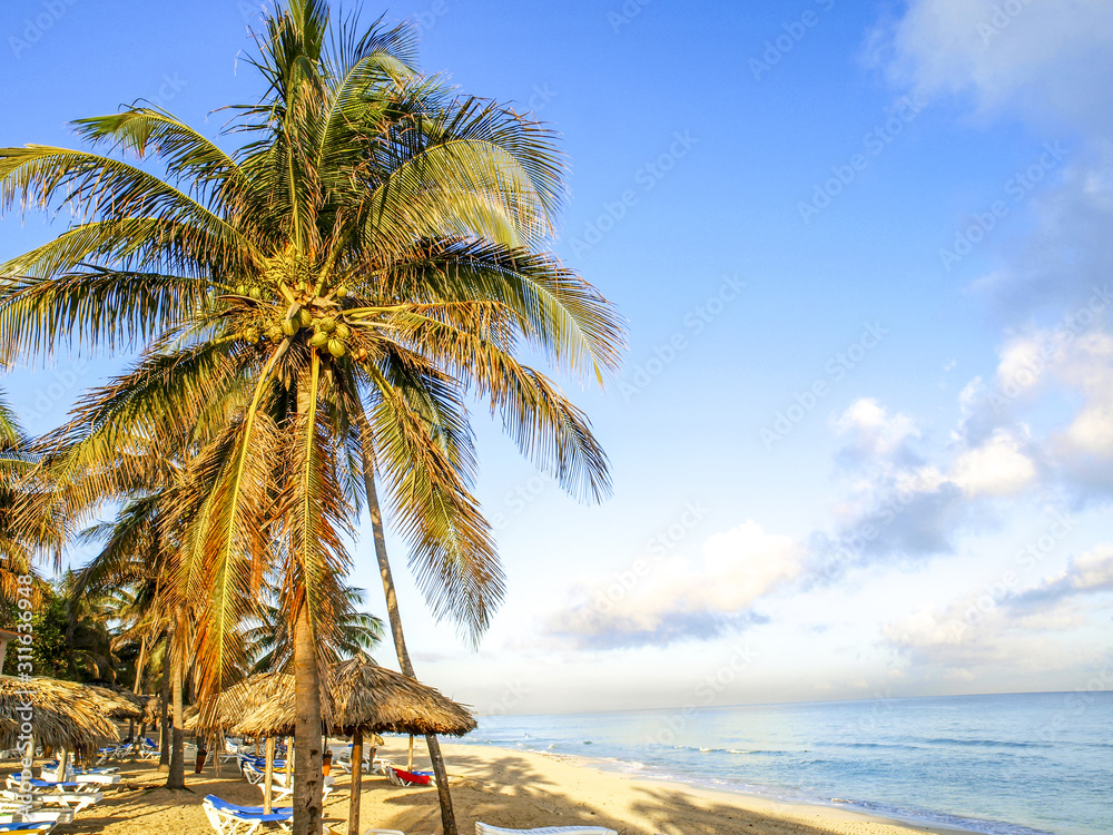 Fototapeta premium Strand Varadero, Kuba, Varadero