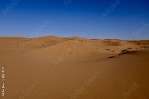 Sand dune in sahara, Morocco, Africa