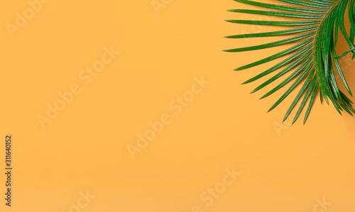 Tropical palm leaves on yellow background. Minimal nature. Summer Styled. Flat lay with copy space. Pattern. The concept of travel, vacation, lifestyle