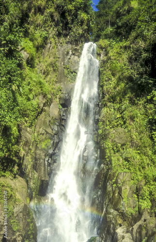 Wasserfall  Dominica  Trafalgar Falls