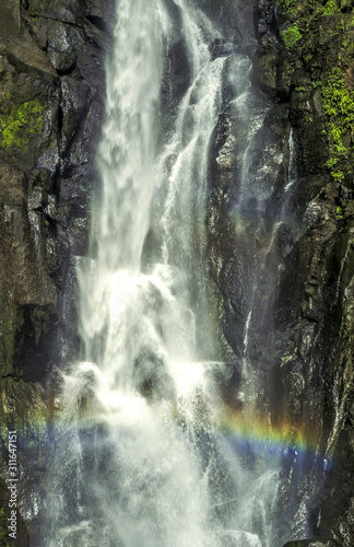 Wasserfall  Dominica  Trafalgar Falls