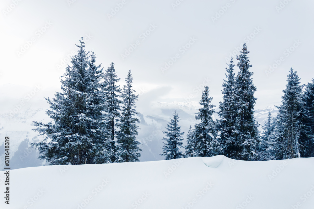 White winter landscape with snow, snow-covered trees and foggy mountains in Austrian Alps White winter landscape with snow, snow-covered trees and foggy mountains in Austrian Alps