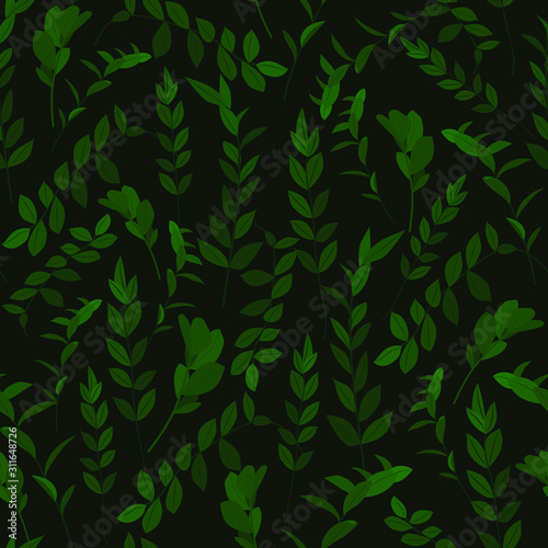 Seamless pattern with dark green zamioculcas leaves © Kseniia
