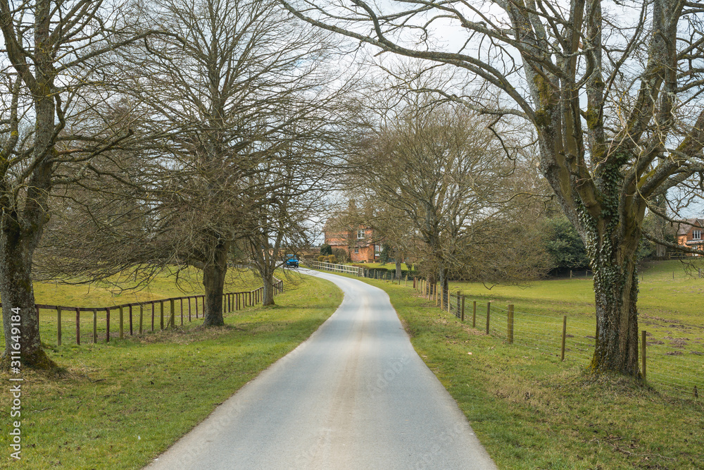 road in the park road in the park