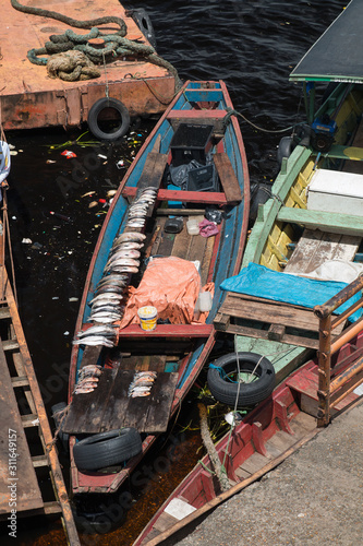 Fisher and their work, Rio Negro, Manaus, Brazil, South America