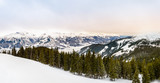 Winter panorama: Snow, fir tree forest and mountain range with Kitzsteinhorn, Austrian Alps