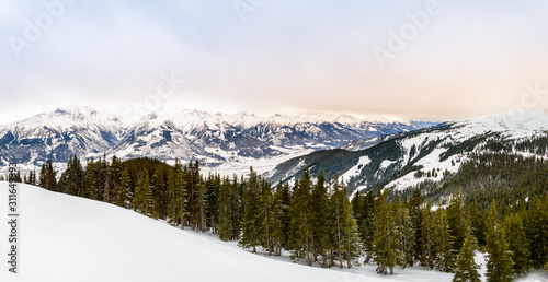 Winter panorama: Snow, fir tree forest and mountain range with Kitzsteinhorn, Austrian Alps