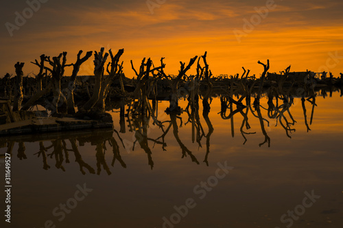 silhouettes in the sunset