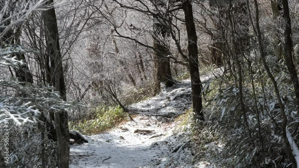 冬の石鎚山の風景 冬の石鎚山の風景
