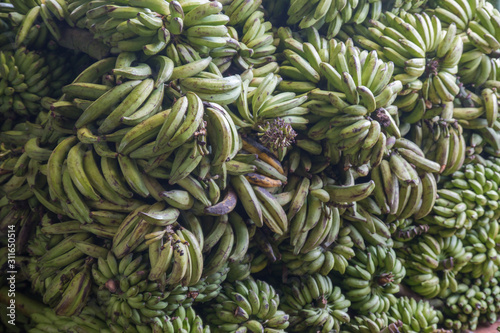 Masses of Bananas in the market hall in Manaus, Brazil, South America