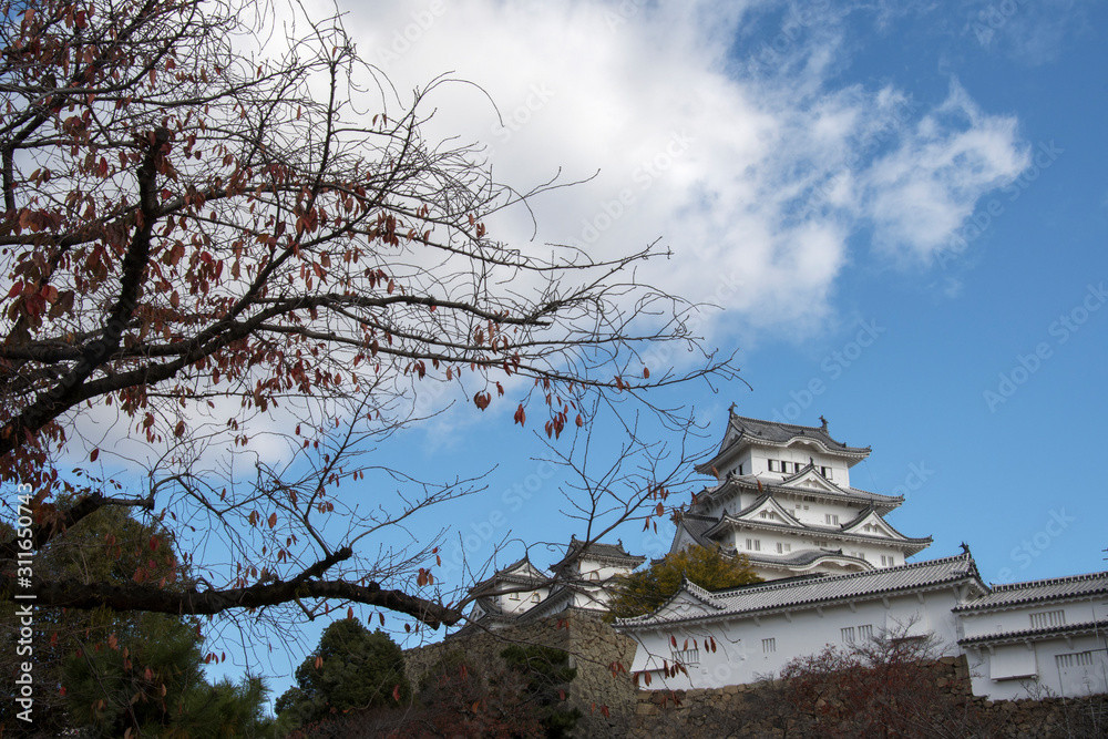 Beautiful white Himeji Castle in autumn season in Hyogo Prefecture, Japan Beautiful white Himeji Castle in autumn season in Hyogo Prefecture, Japan