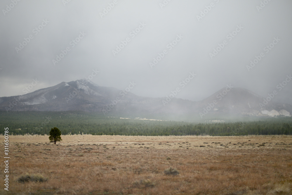 Foggy mountain range in the rain near Hopi Reservation