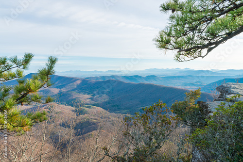 Fototapeta Naklejka Na Ścianę i Meble -  Trees on a cliff on the background of Appalachian mountains