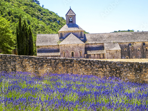 Lavendel  Kloster Senanque  Provence  Frankreich  Senanque