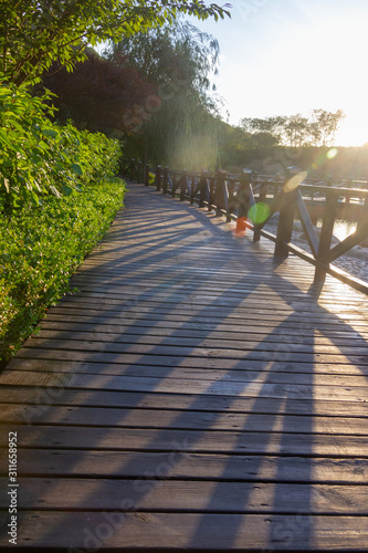 Tree-lined boardwalk in the sunset © 俊 王