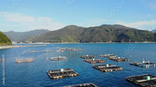 宇和島の養殖場を空撮