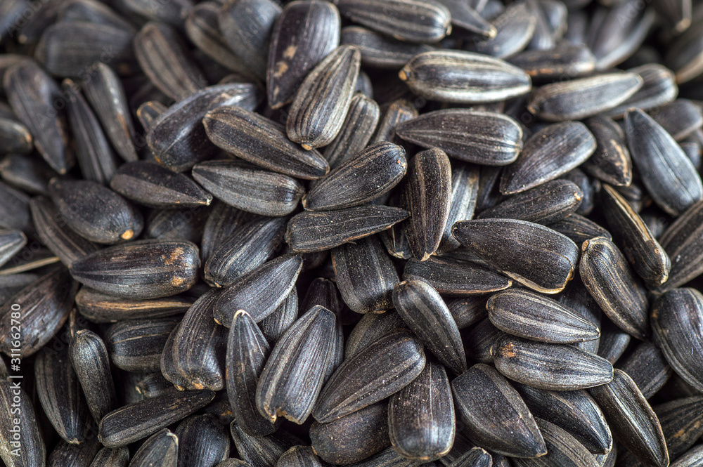 Black sunflower seeds. For texture or background Black sunflower seeds. For texture or background