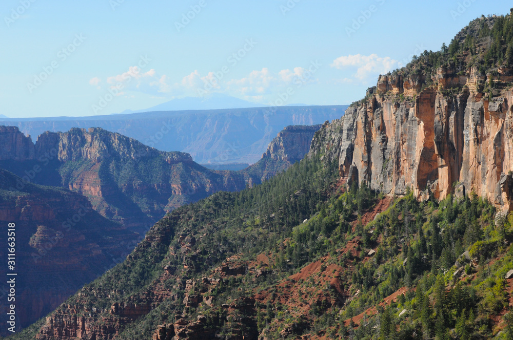 north rim of the Grand Canyon
