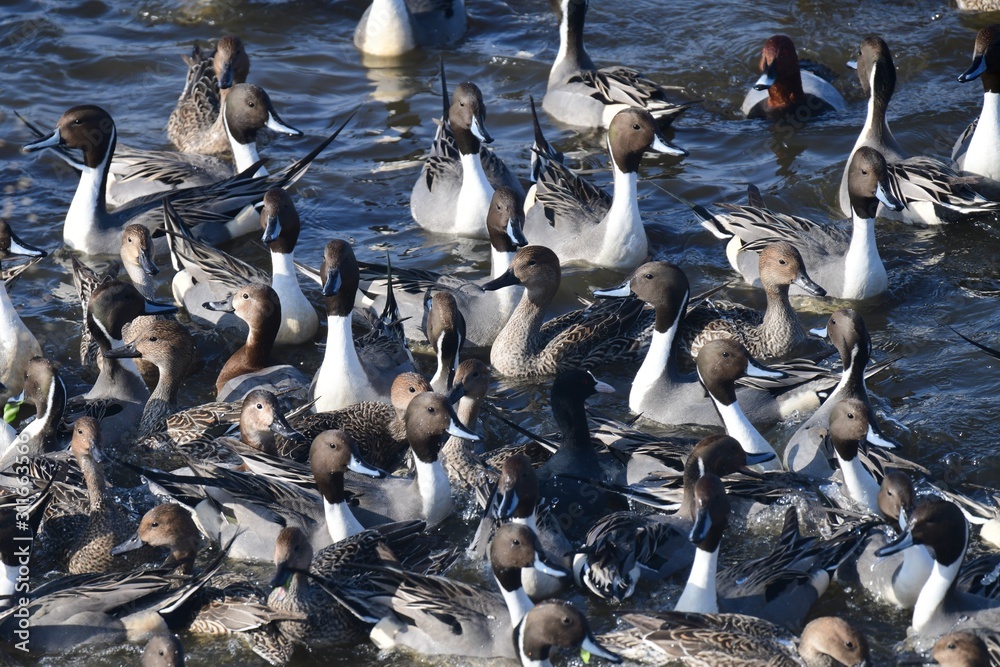 Obraz premium ただいま大変込み合っております。混雑イメージ素材