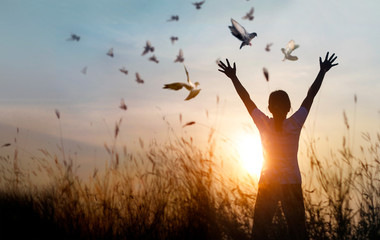 Woman praying and free bird enjoying nature on sunset background, hope concept