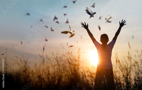 Obraz na płótnie Woman praying and free bird enjoying nature on sunset background, hope concept