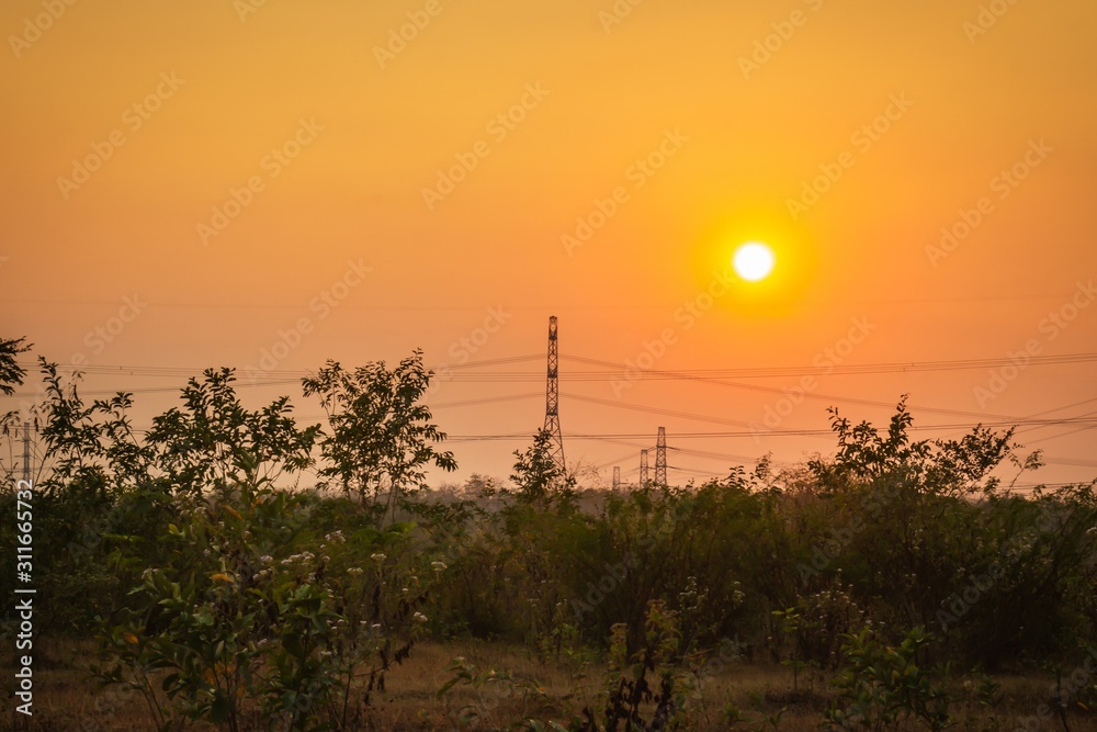 Fototapeta premium sunset over field