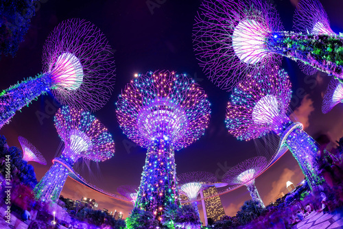 Singapore - JULY 29 2017: Fantastic night bottom view of the Supertrees and the Skyway at Gardens by the Bay. Giant tree-like structures and vertical gardens are popular tourist attraction.