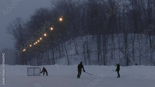 Winter in Northern Michigan in Charlevoix Playing Ice Hockey Pond rink 4K drone shots over forest and open woods in winter snow covered scene
best friends
trav photo