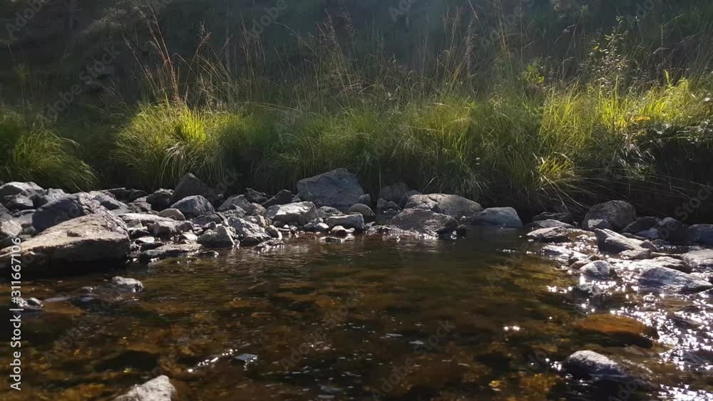 Flowing water in a small creek with stones and grass on a sunny day. Easy left pan. Flowing water in a small creek with stones and grass on a sunny day. Easy left pan.