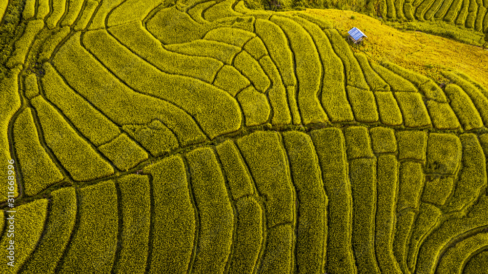 Rice terrace fields or Ladder rice field in aerial view at Pabongpeang , Maejam Village , Chaingmai Province of Thailand Rice terrace fields or Ladder rice field in aerial view at Pabongpeang , Maejam Village , Chaingmai Province of Thailand