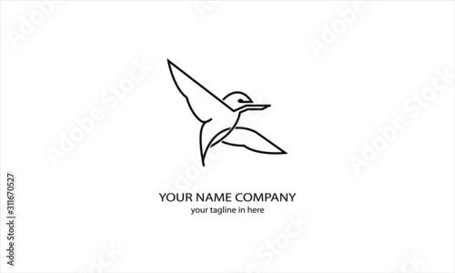 kingfisher bird is rare in Australia Asia, very suitable for the emblems of airlines and tourism logos