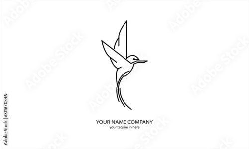 kingfisher bird is rare in Australia Asia, very suitable for the emblems of airlines and tourism logos