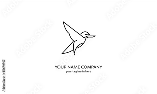 kingfisher bird is rare in Australia Asia, very suitable for the emblems of airlines and tourism logos