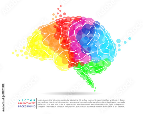 Colorful brain image concept in vector illustration	