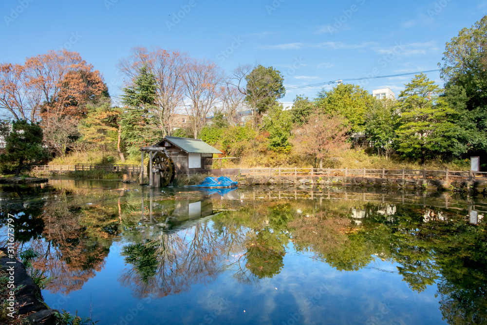 Obraz premium 鍋島松濤公園