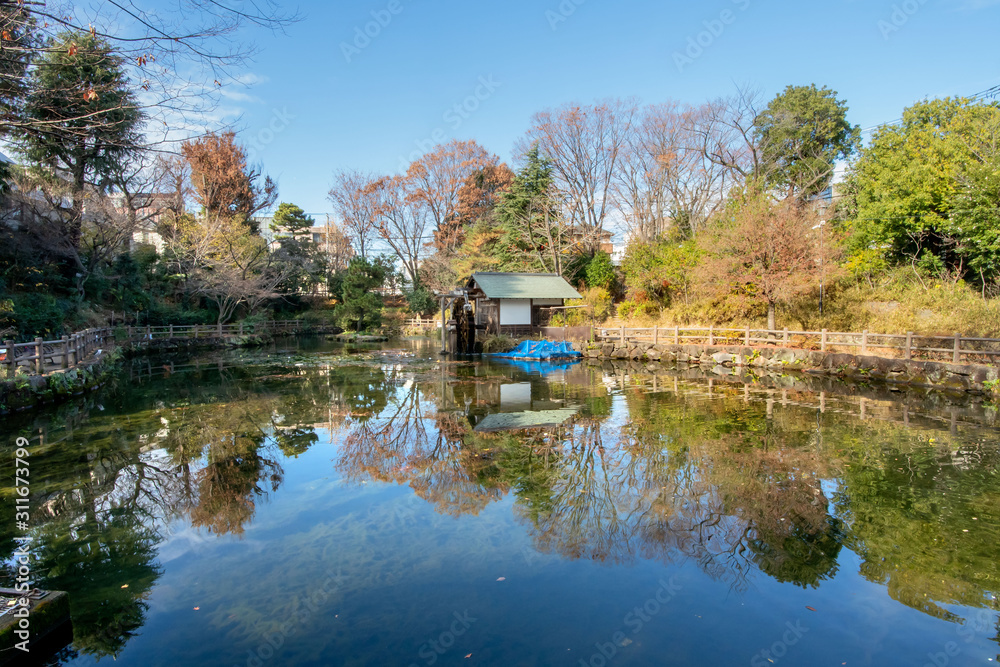 Obraz premium 鍋島松濤公園