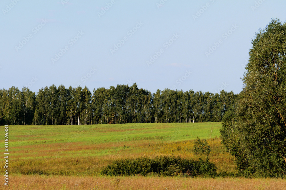 Beautiful rural landscape on a sunny summer day. Natural background retro style toned