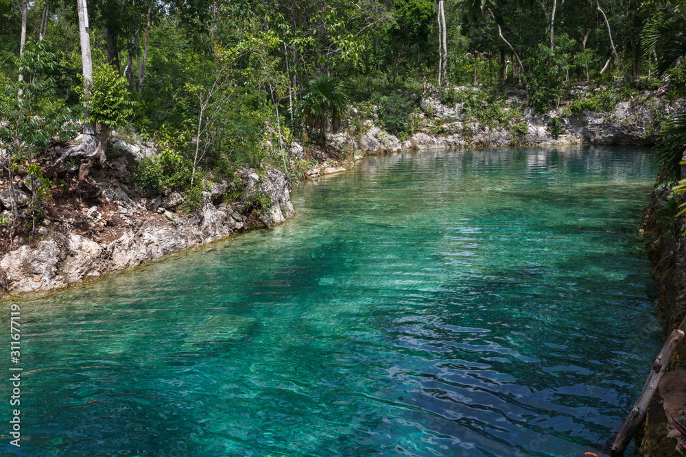 Cenote Riviera Maya Cenote Riviera Maya