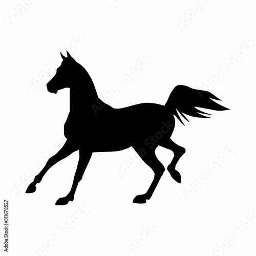 Horses black silhouette. Equine  vector illustration.