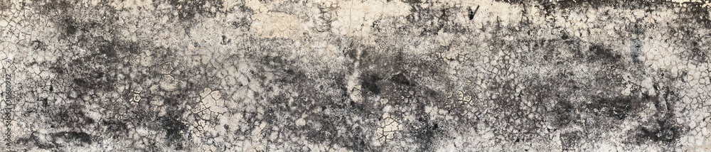 Panorama,Old Wall with Moldy Peeling White Painting from Humidity. Cracked White Wall as Rusty Concrete Weathered Wall Grunge Background or Abstract Backdrop Wallpaper Vintage Texture Design Panorama,Old Wall with Moldy Peeling White Painting from Humidity. Cracked White Wall as Rusty Concrete Weathered Wall Grunge Background or Abstract Backdrop Wallpaper Vintage Texture Design