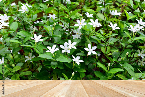 Empty top wooden table on tropical white flowers blooming in garden