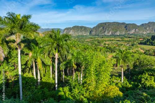 Panoramic view over landscape with mogotes in Vinales Valley, Cuba. photo