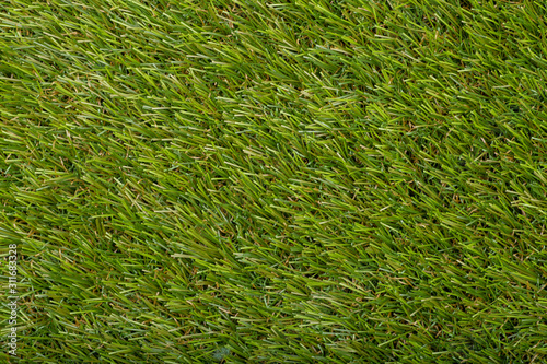 Carpet covering background. Pattern and texture of green grass carpet. Copy space.